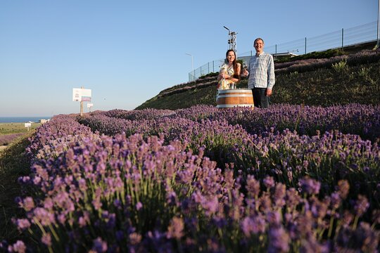 Tour image 7